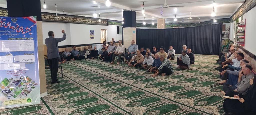 كارگاه آموزشی اصول پرورش رتون در مزرعه الگویی شهرستان محمودآباد برگزار شد