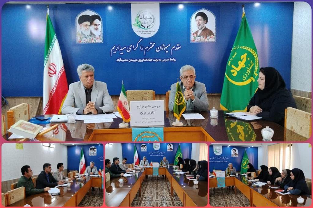 نشست بررسی نتایج پنج مزرعه الگویی برنج در محمودآباد با حضور رئیس مركز هراز برگزار شد